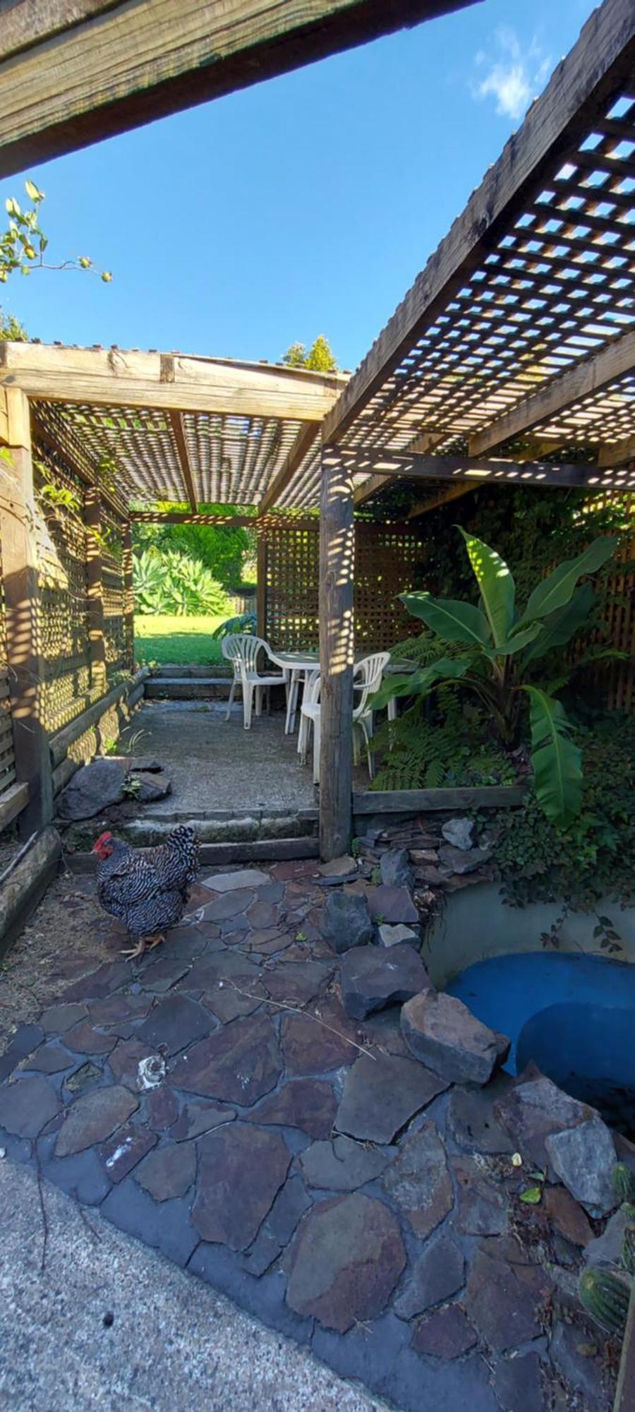 טאורנגה Haley'S Cabin מראה חיצוני תמונה